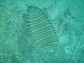 P7190027_thumb.png