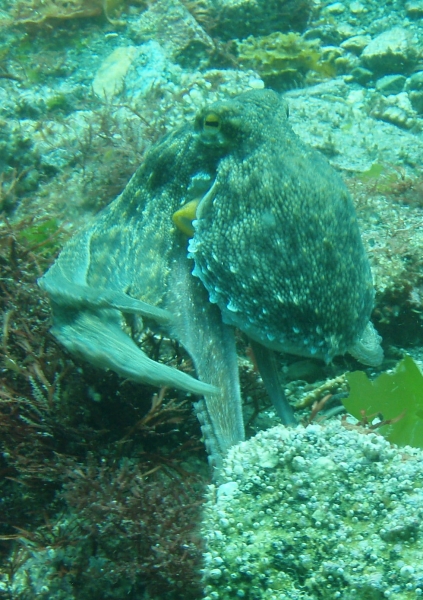 P7190070_.jpg