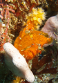 P7190080__thumb.png