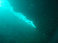 P8300051_thumb.png