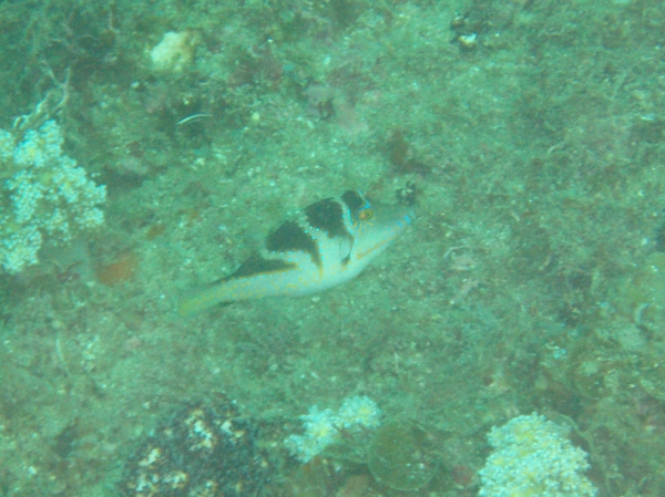 P8300153_.jpg