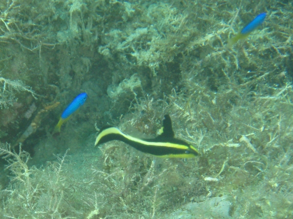 P8310004_.jpg