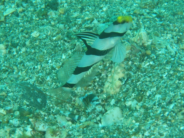 P8310012_.jpg