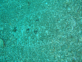 P8310027_thumb.png
