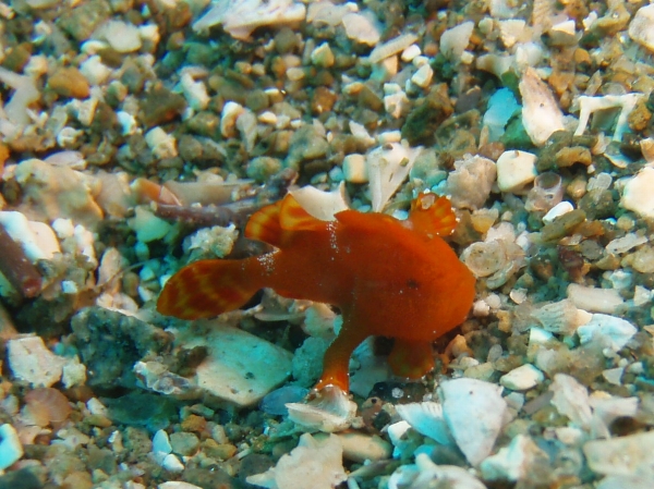 P8310045_.jpg
