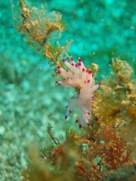 P8310166_.jpg