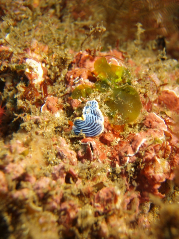 P9210010_.jpg