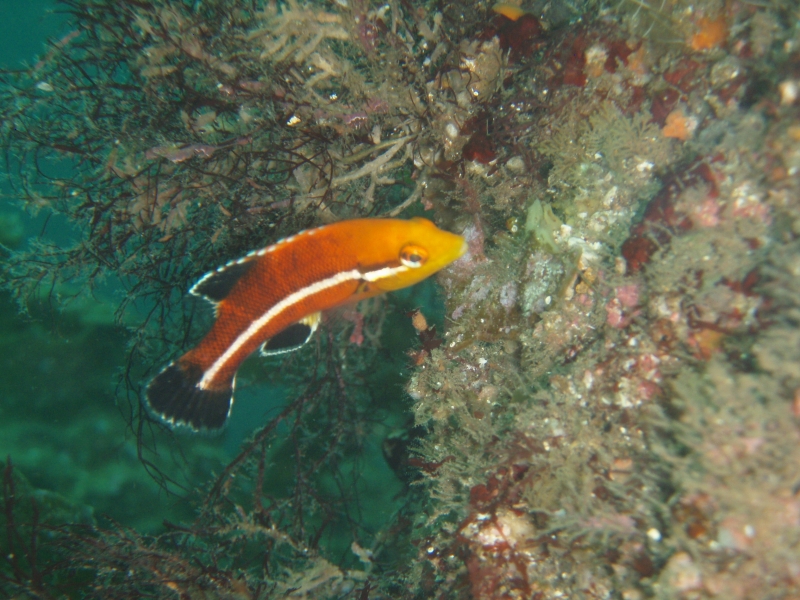 P9210047.jpg