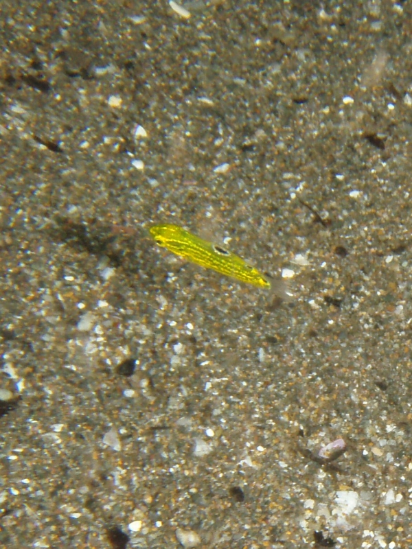 P9210051_.jpg