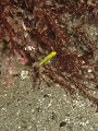 P9210053__thumb.png