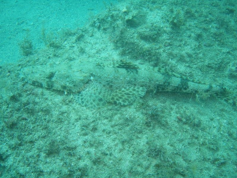 PA030003.jpg