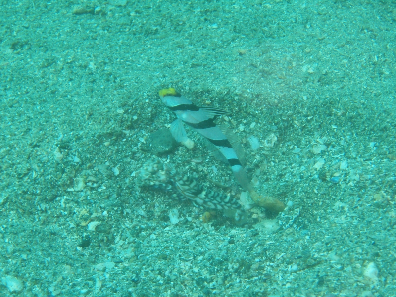 PA030014.jpg