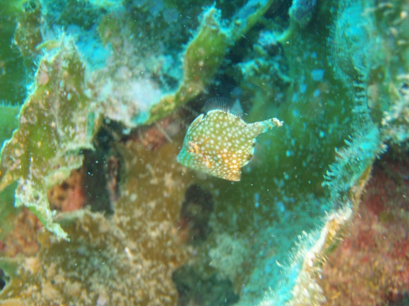 PA030027.jpg
