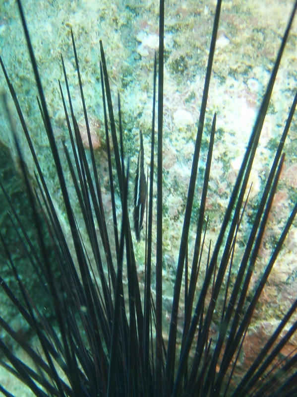 PA030055_.jpg