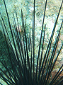 PA030055__thumb.png