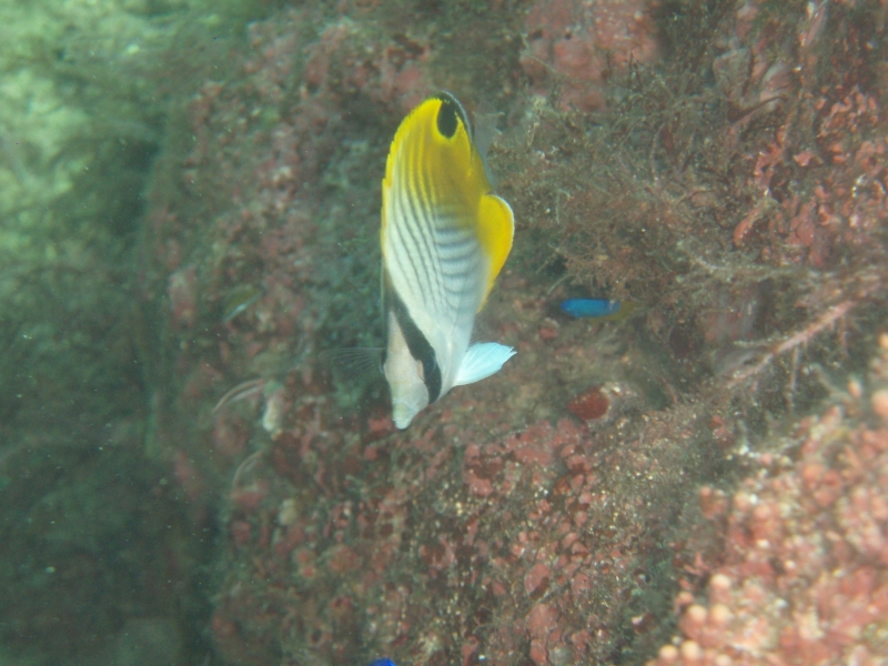 PA030062.jpg