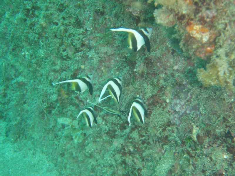 PA030072.jpg