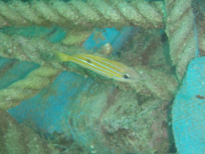 PA030080.jpg