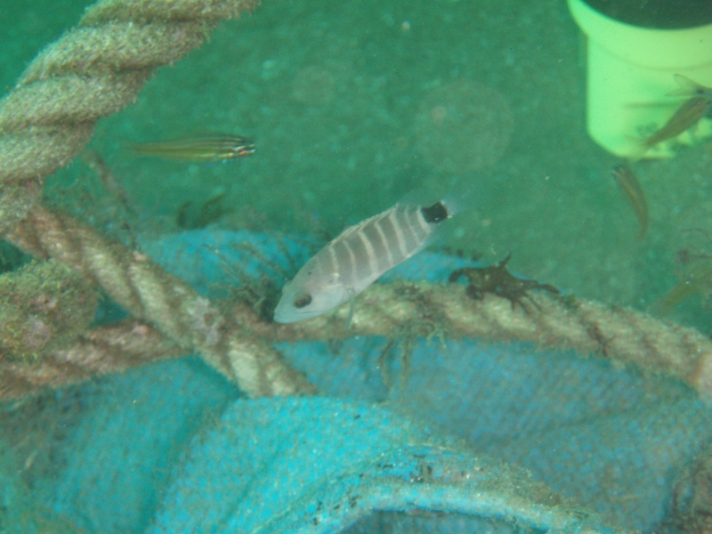 PA030082.jpg