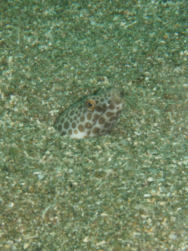 PA030089_.jpg