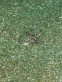 PA030089__thumb.png