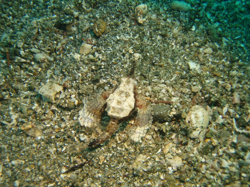 PA030091.jpg