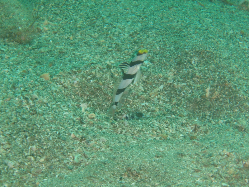 PA030096.jpg