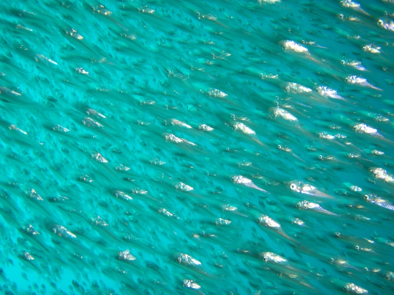 PA040008.jpg