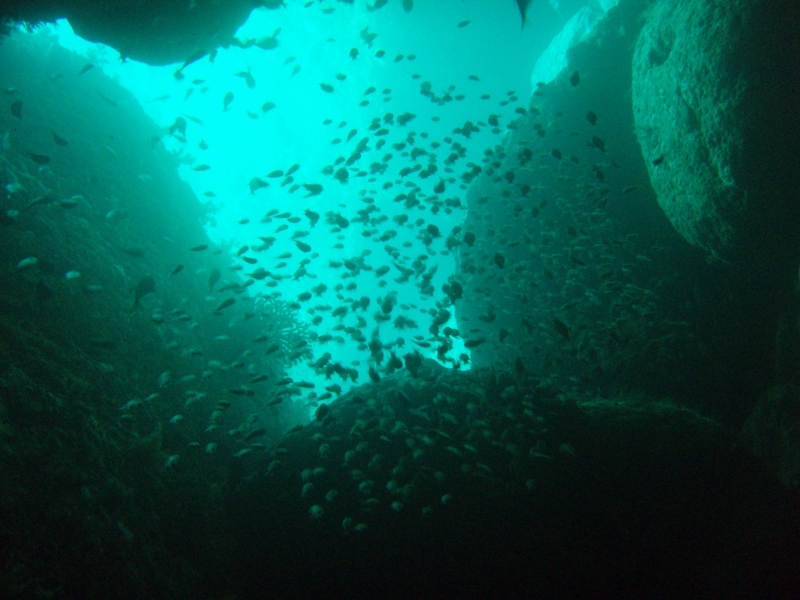 PA040037.jpg