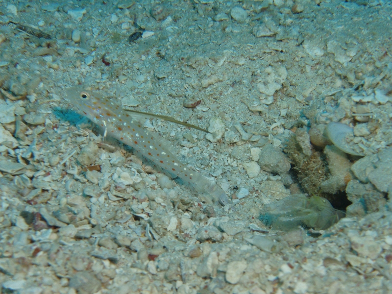 PB150005.jpg