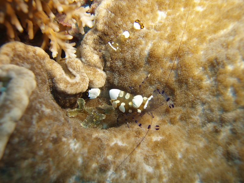 PB150007.jpg