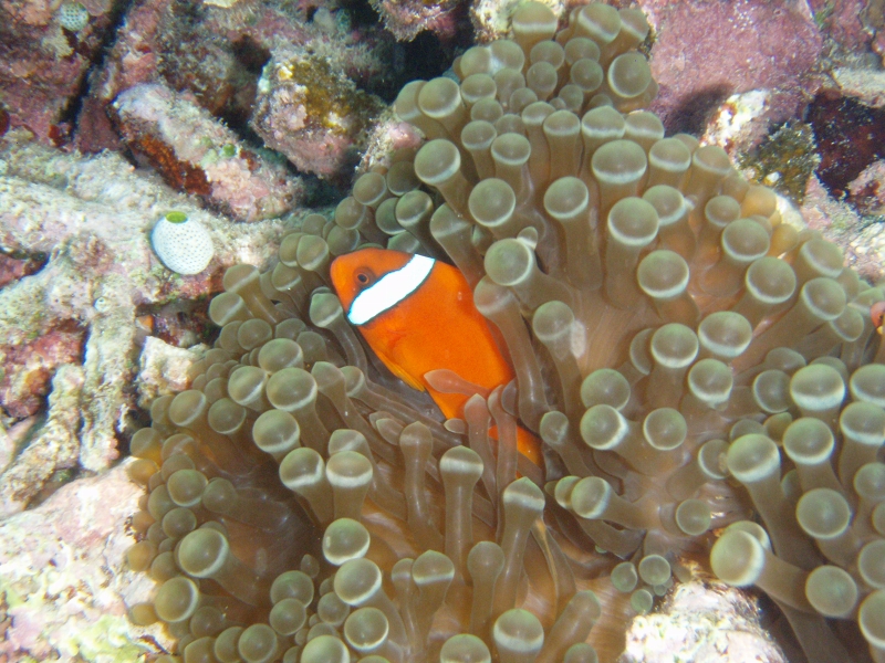PB150064.jpg
