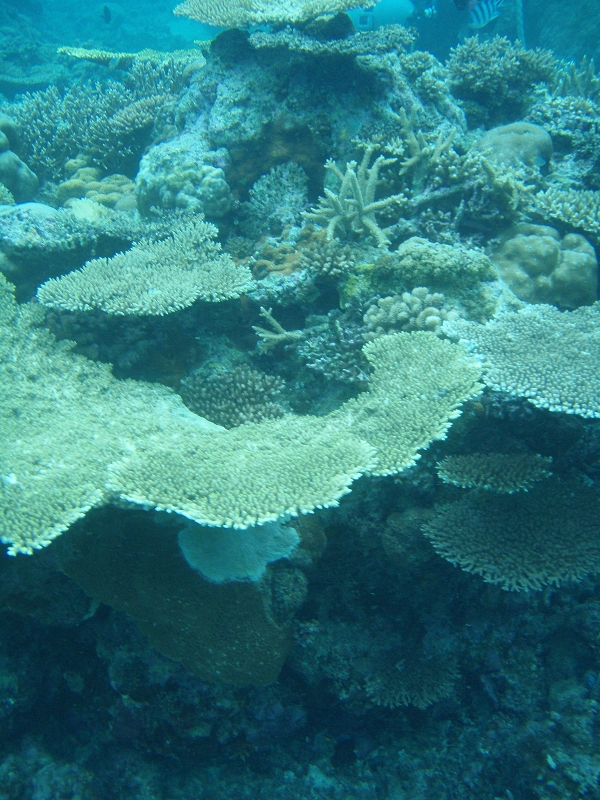 PB150091.jpg