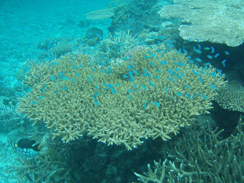 PB150105.jpg