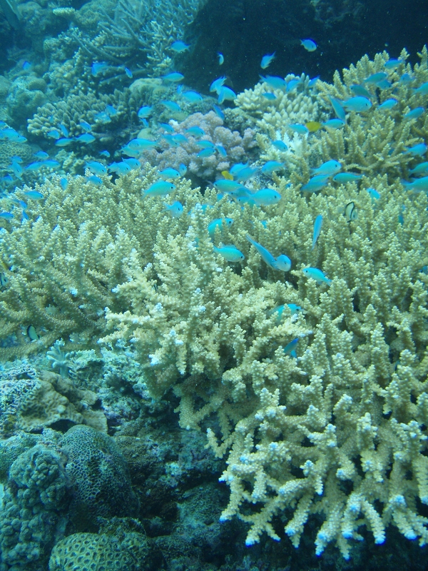 PB150109.jpg