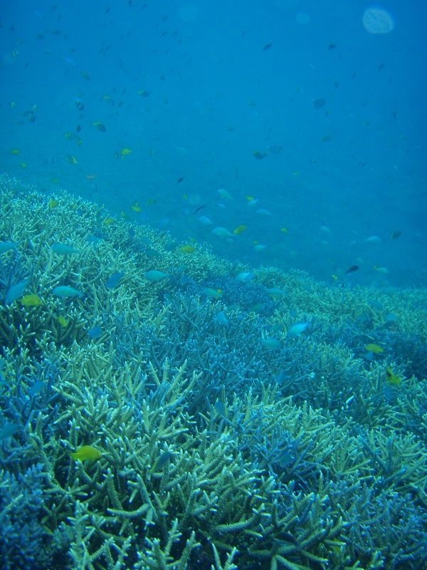 PB150113.jpg