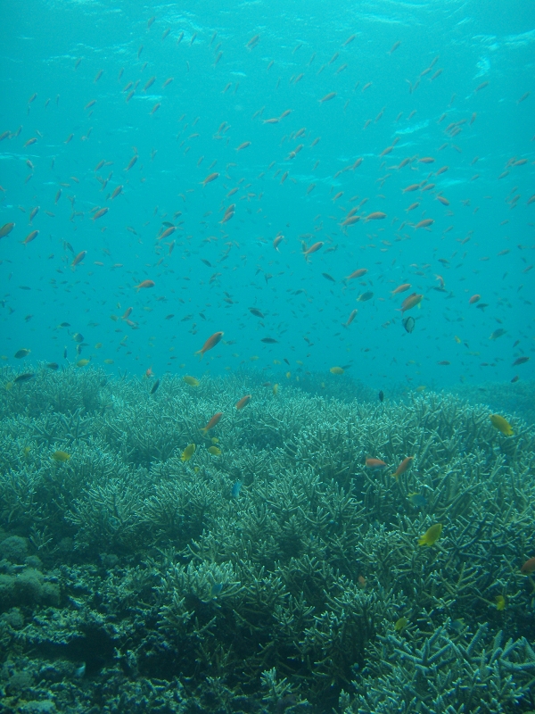 PB150120.jpg