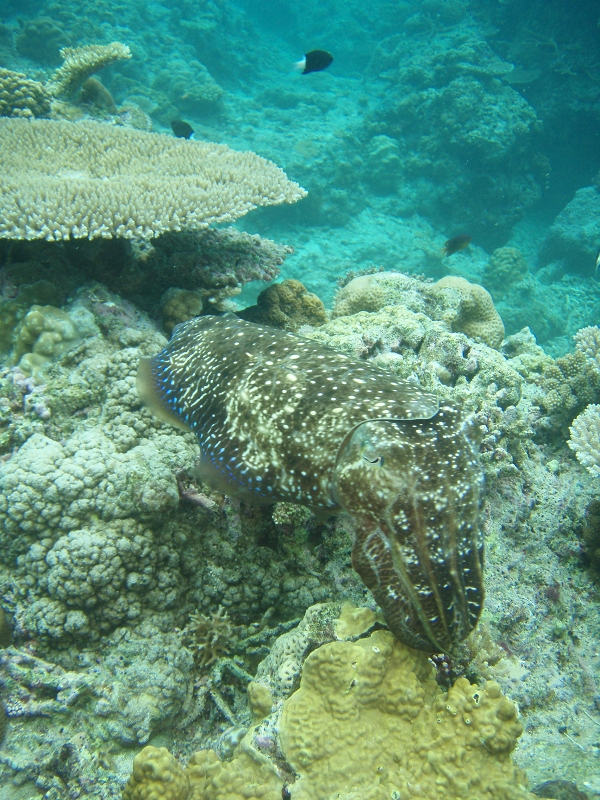 PB150158.jpg