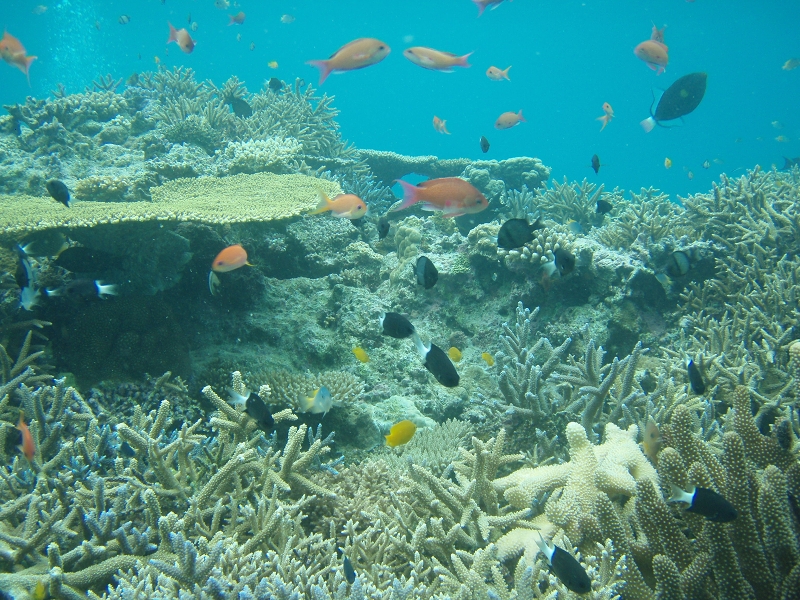 PB150164.jpg