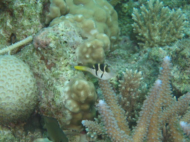 PB150169.jpg