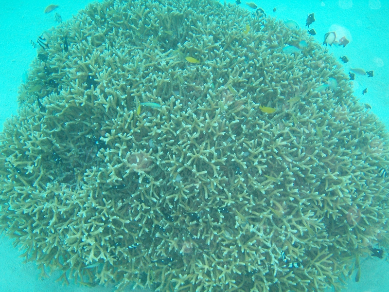 PB160005.jpg