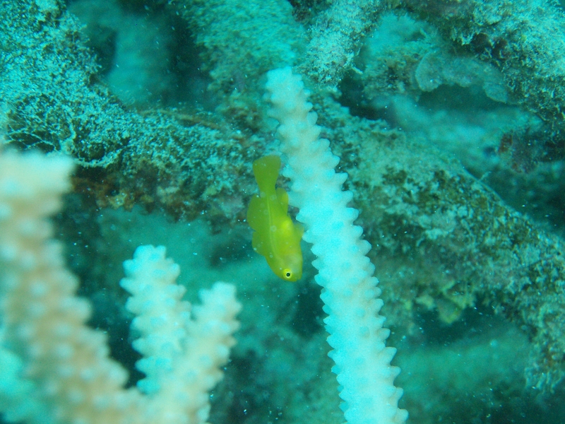 PB160043.jpg