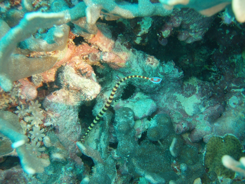 PB160047.jpg