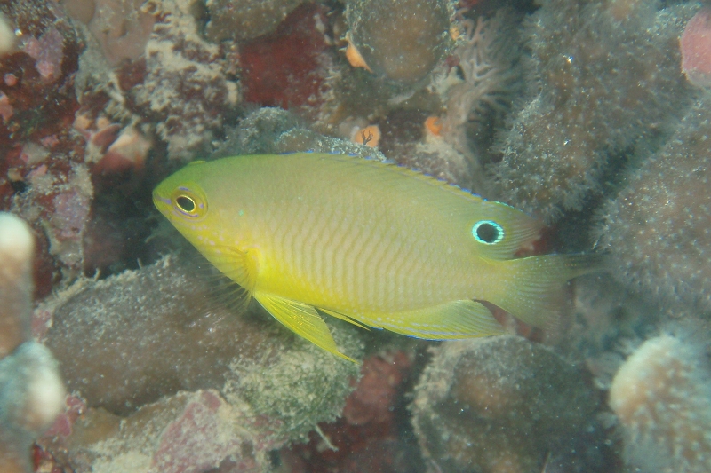 PB160057_.jpg
