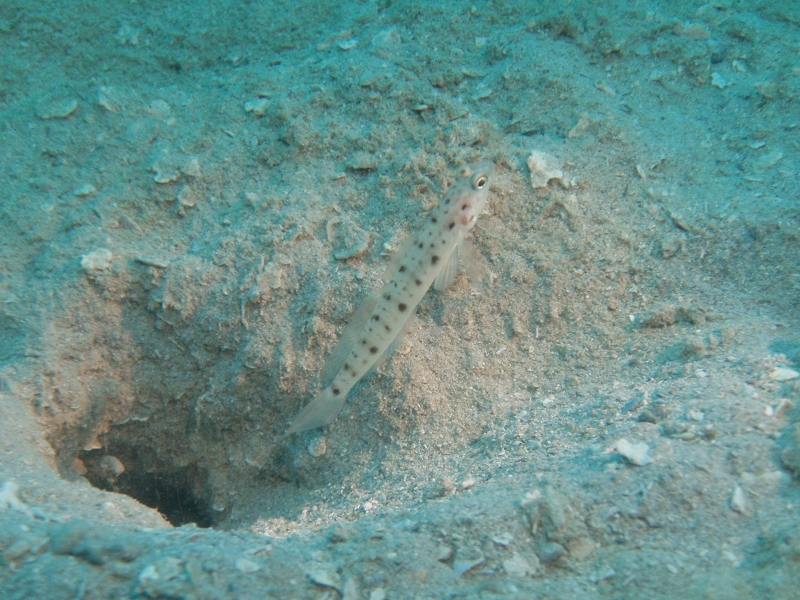PB160092.jpg