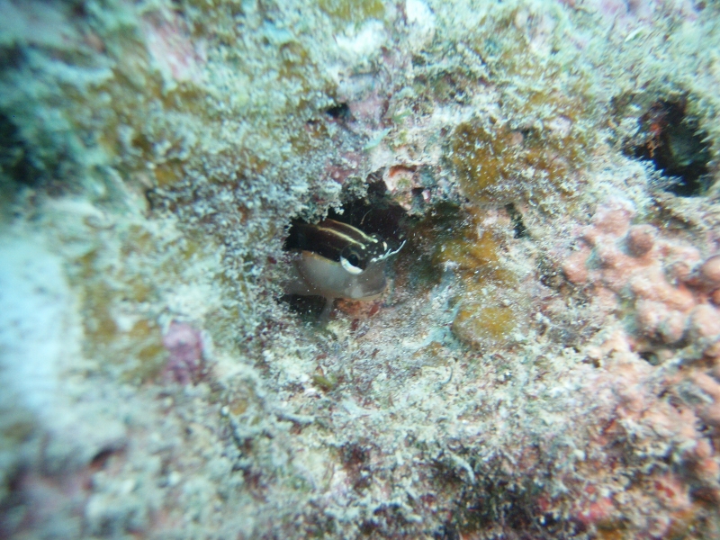 PB160112.jpg