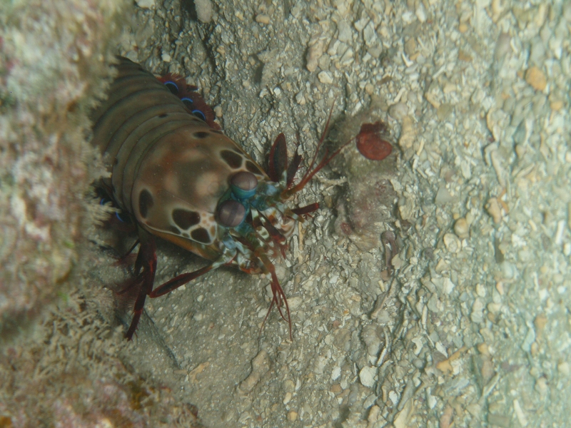 PB160114.jpg
