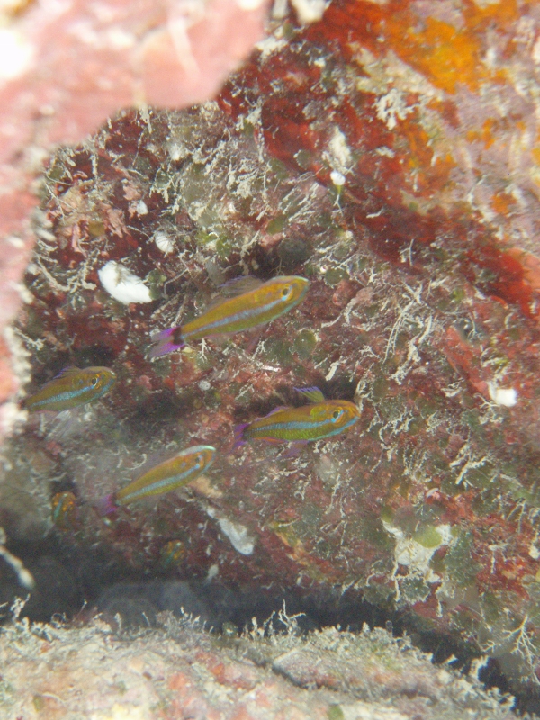 PB170015.jpg