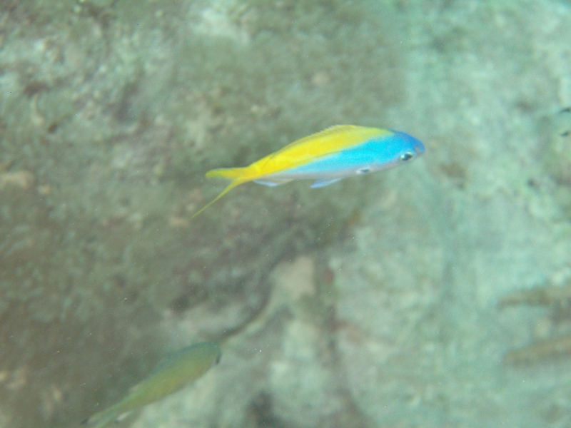 PB170176.jpg