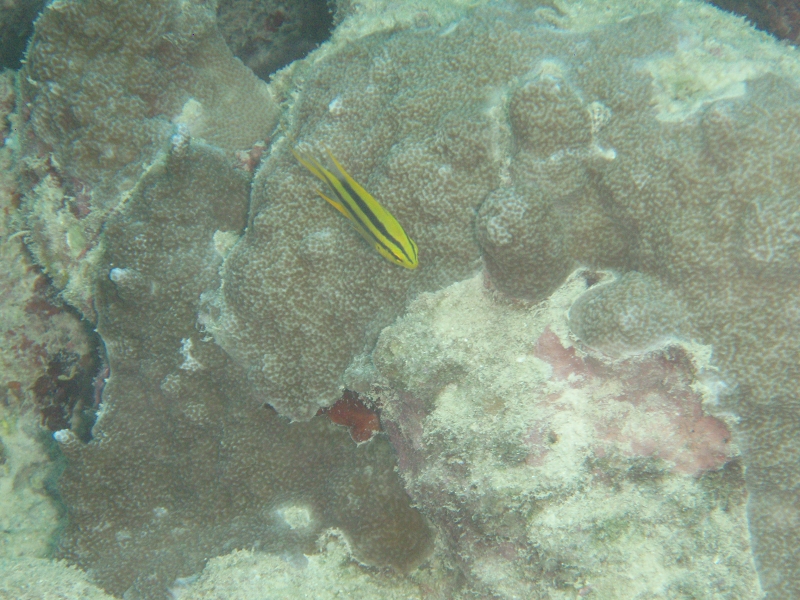 PB170184.jpg